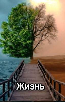  Жизнь