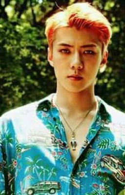 독점적 인 사랑 /дууссан/