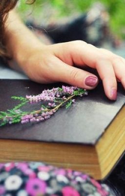 Стервозная серая мышь