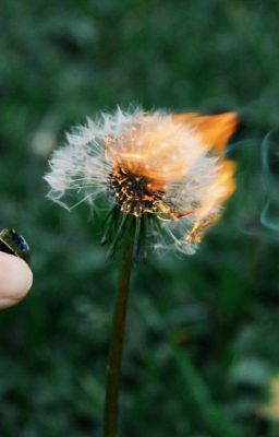 Кофе С Запахом Осени. 