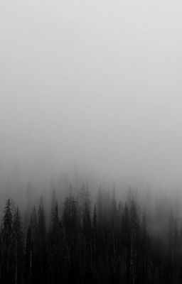 Туман. Маршрутка