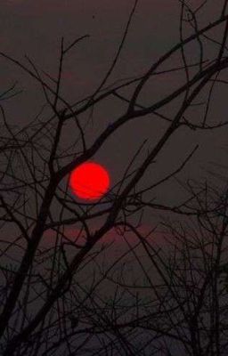 Поиски себя