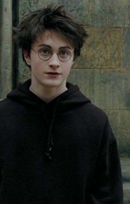 Наследник Азкабана