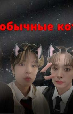 необычные коты~