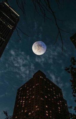 Однажды у меня появился страх засыпать