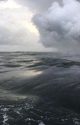 Литература 🥀