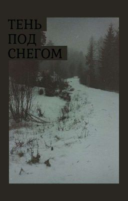 Тень под снегом 