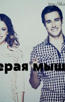 Серая мышка