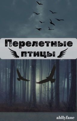Перелетные птицы: мой парень - убийца 