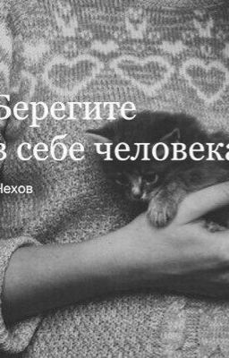 Серая мышка