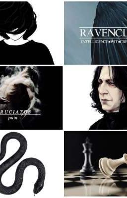 Борьба за идеи. Дочь Снейпа