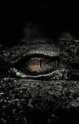 Золотой Кайман 