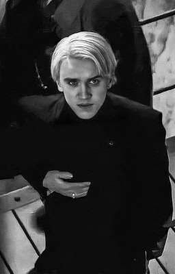 Драко, ты причина моих несчастий 