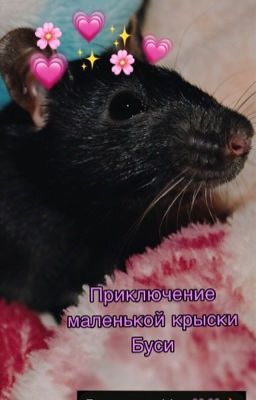 Приключение маленькой крыски Буси.🐭
