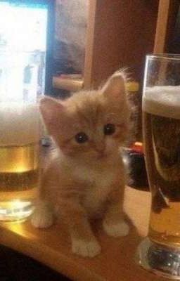 Невероятные приключения Кнока(ебать стрельнула)