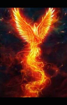 Академия Стихийной Магии