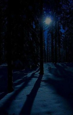 По снежному следу 