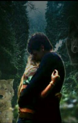 Моя любовь- Грозовой зверь🐺