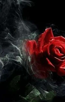 Черная роза