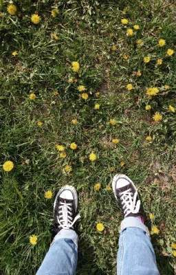 Пара по философии