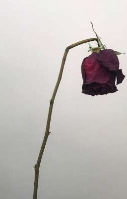 Преобразование в человека. 