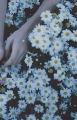 день был холодный, а я влюблен