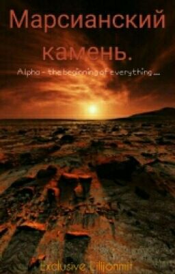 Марсианский камень.