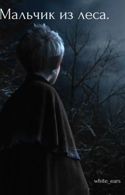 Мальчик из леса