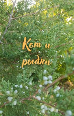 Кот и рыбки (сборник рассказов)