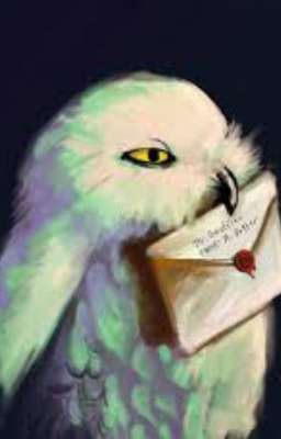 Скука и секреты