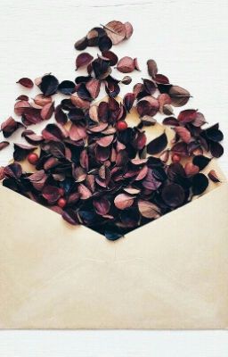 Лепестки воспоминаний