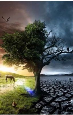 Жизнь Элизы 