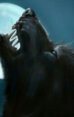 Охотники На Оборотней