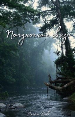 Полуночная связь