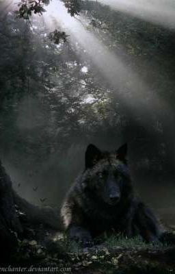 Оборотень и человек 