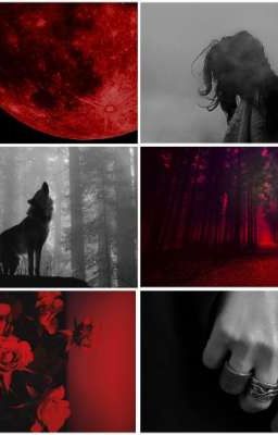 Кровавый бал