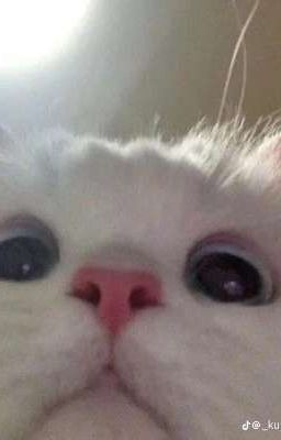 Жизнь в одном доме с друзьями