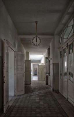 Родильный дом номер 6