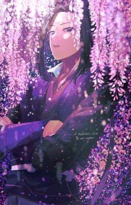 Когда Пойдут Лепестки Сакуры