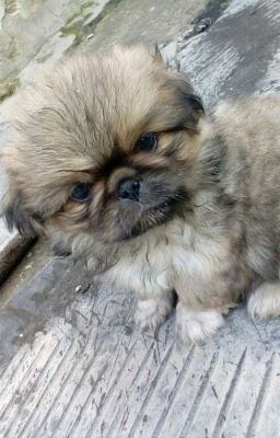 Я одинока... помоги 