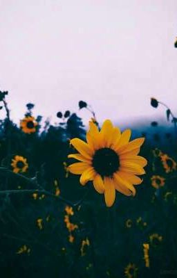 ✨Всё для фанфиков✨ [ЗАКОНЧЕНО]