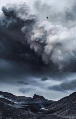 Новая Жизнь