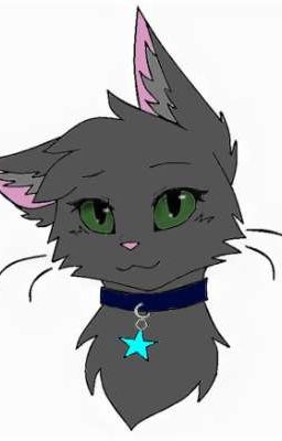 (Трансформеры прайм) коты (ЗАКОНЧИНА)