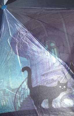 Малая канцелярия судеб