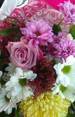 Жизнь💚💚💚