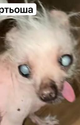 бомжи и алкоголь ❤️‍🔥