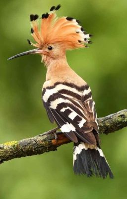 просто танцы