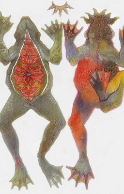 мои мысли и полное сумасшествие 