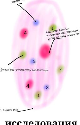 исследование живого газа