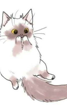 Анегдоты и мемы